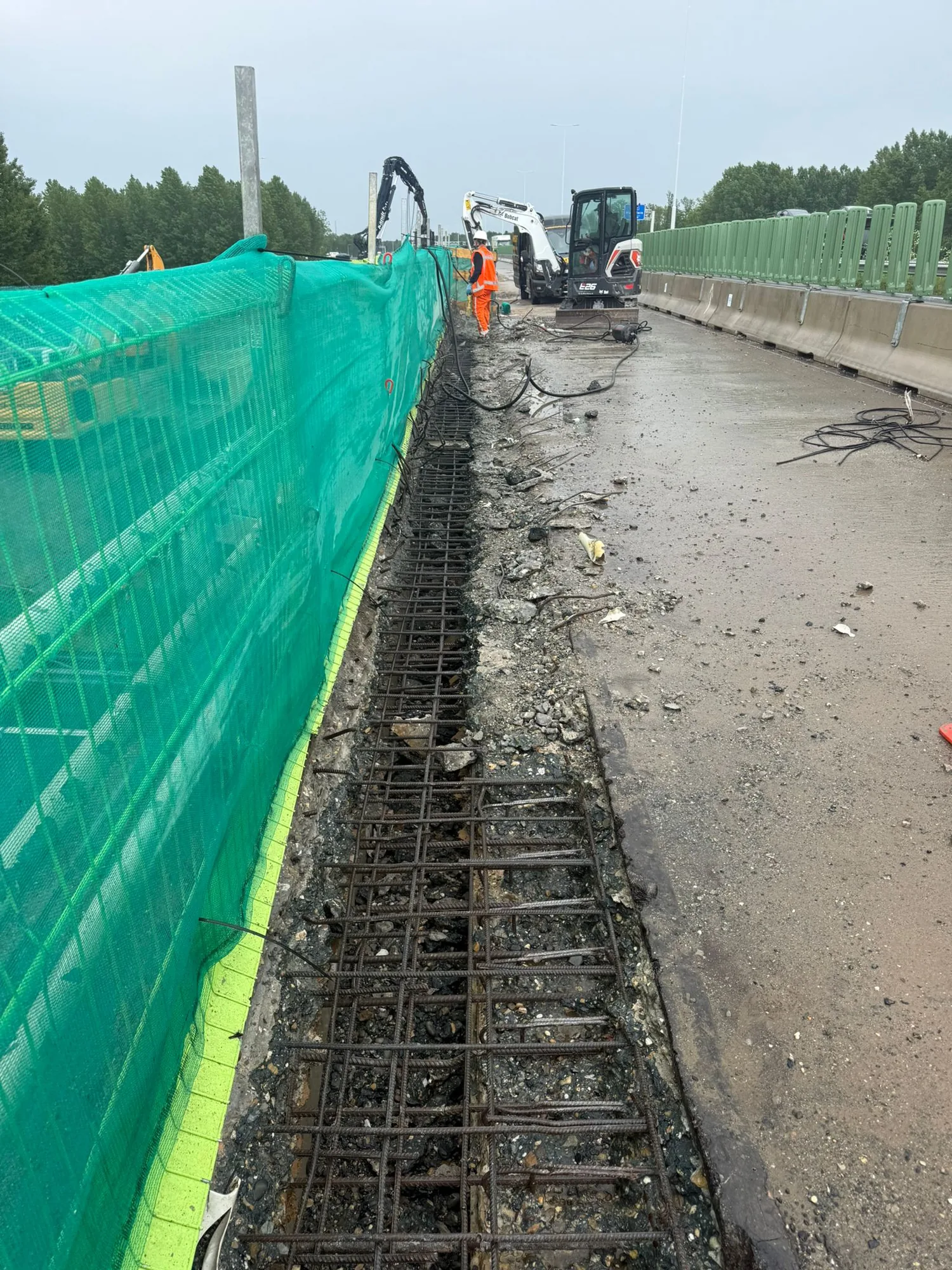 Vrijhakken A9 Amstelveen